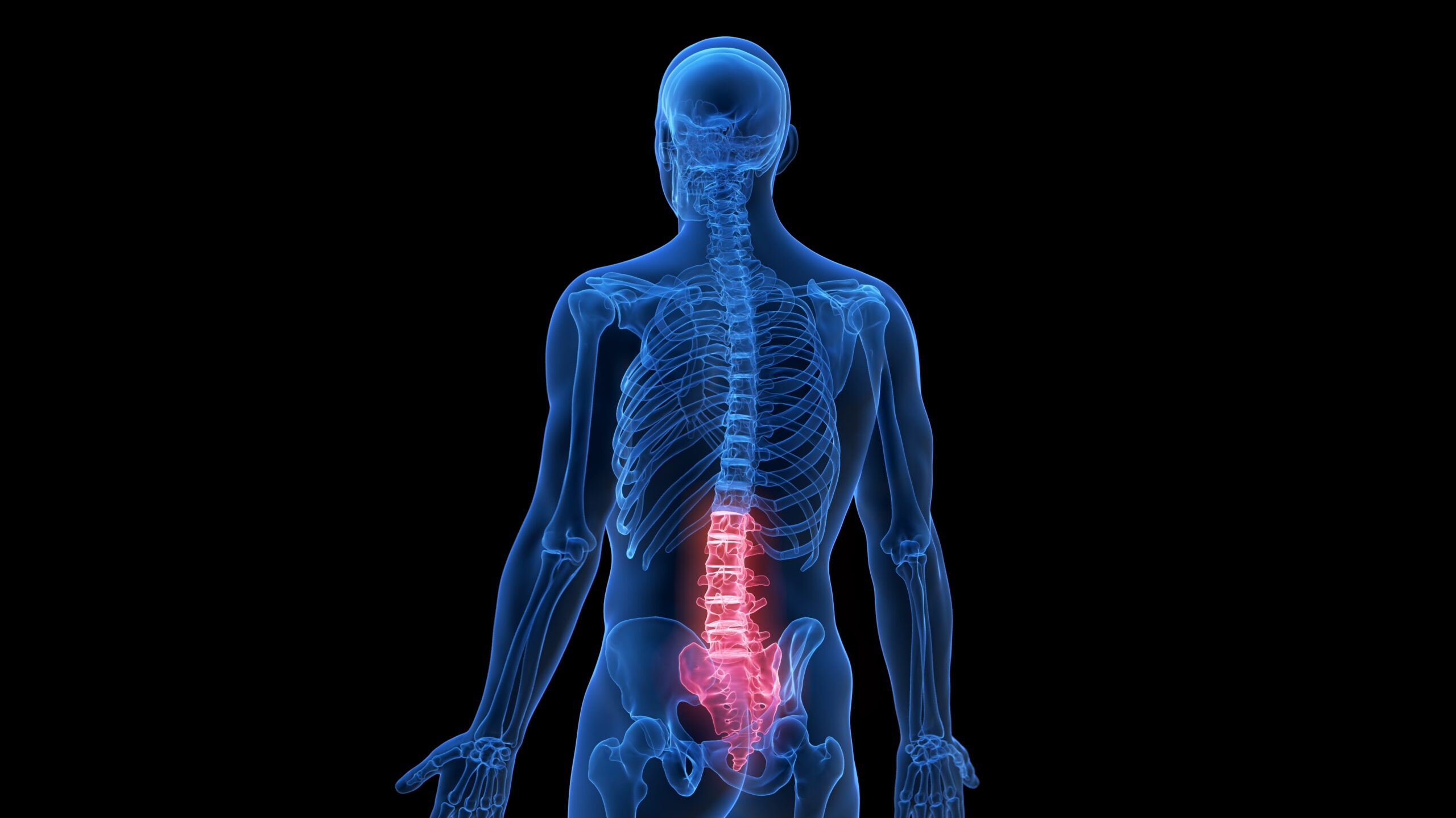 A blue-tinted digital rendering of a human skeleton with the lower spine and pelvis highlighted in red, indicating pain or injury in the lumbar region, on a black background.